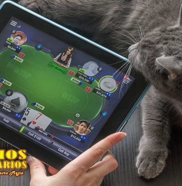 Gana mil dólares jugando al poker online